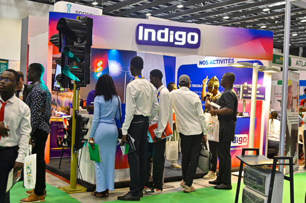 INDIGO (3)