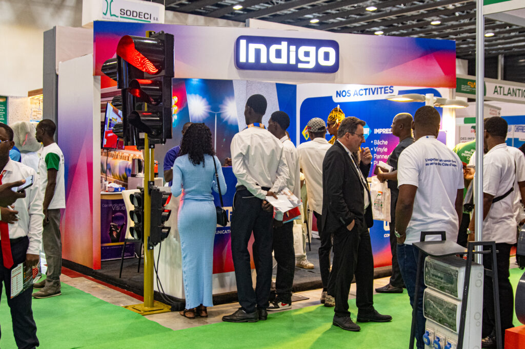 INDIGO (4)